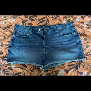 BDG low rise boyfriend cutoff shorts Sz 34